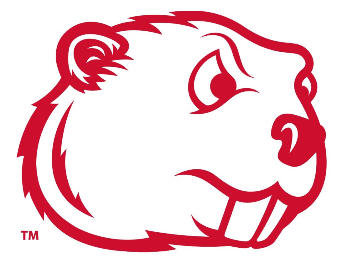 MSU’s Beaver logo has changed over time News, Sports, Jobs Minot